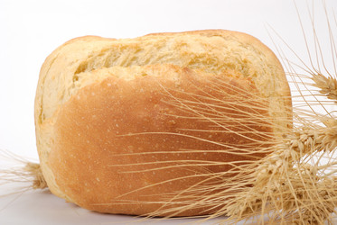 Similar image 221356