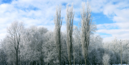 Similar image 221371