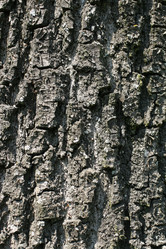 Similar image 221386