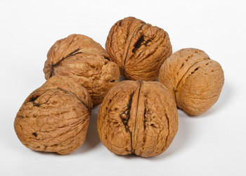 Similar image 221393