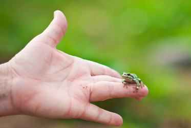 Similar image 221466