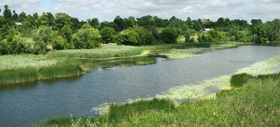 Similar image 221470