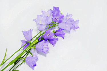 Similar image 221483