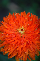 Similar image 221491