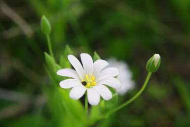 Similar image 221494