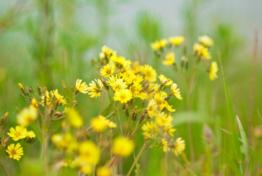 Similar image 221496