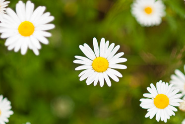 Similar image 221497