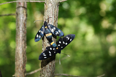 Similar image 221501