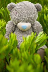 Similar image 221506