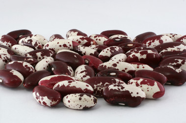 Similar image 221507