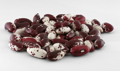 Similar image 221508