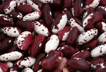 Similar image 221514