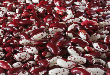 Similar image 221515