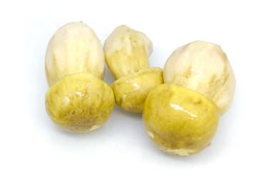 Similar image 221519