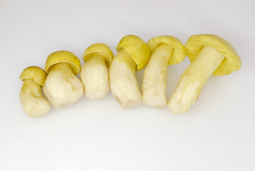 Similar image 221521