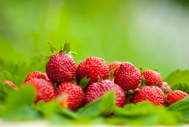 Similar image 221527