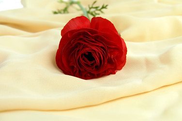 Similar image 221559