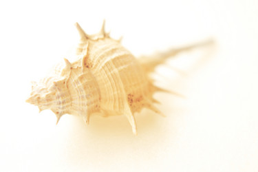 Similar image 221573