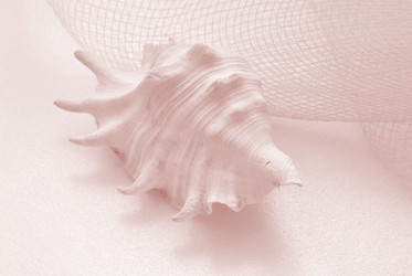 Similar image 221574