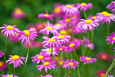 Similar image 221582