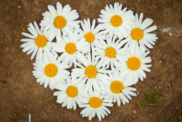 Similar image 221586