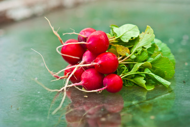 Similar image 221593