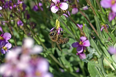 Similar image 221597