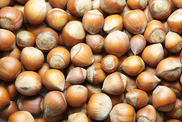 Similar image 221621