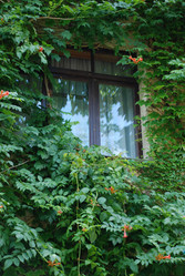 Similar image 221636