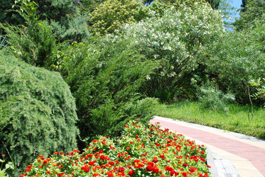 Similar image 221638