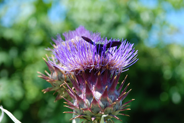 Similar image 221643