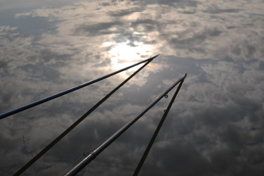 Similar image 221665