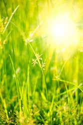 Similar image 221680