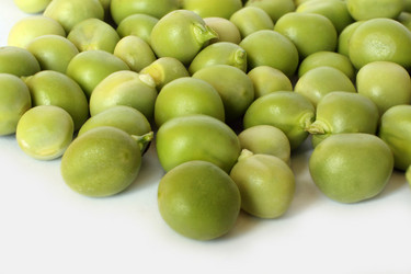 Similar image 221686