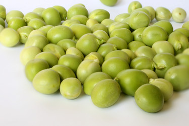 Similar image 221687