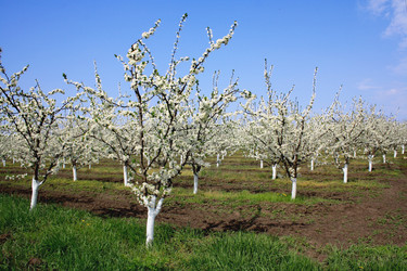 Similar image 221699