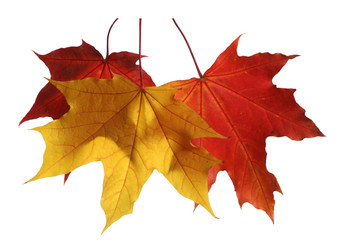 Similar image 221700