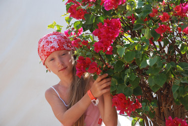 Similar image 221701