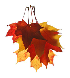 Similar image 221702