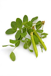 Similar image 221743