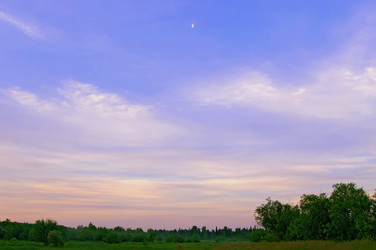 Similar image 221755