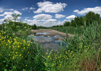 Similar image 221761