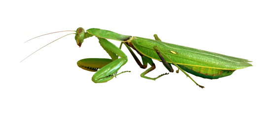 Similar image 221776