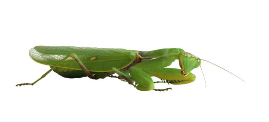 Similar image 221778