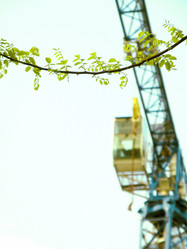 Similar image 221792