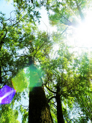 Similar image 221816