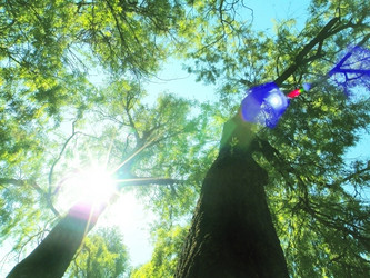 Similar image 221817