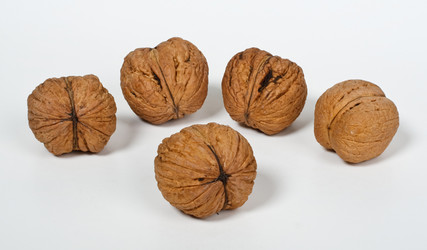 Similar image 221869