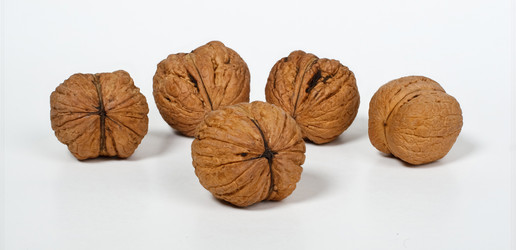 Similar image 221870