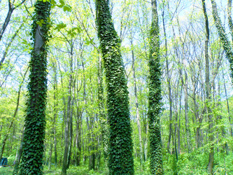 Similar image 221932